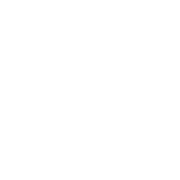 開発者